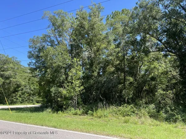 LOT 20 Richardson Blvd, Webster, FL 33597