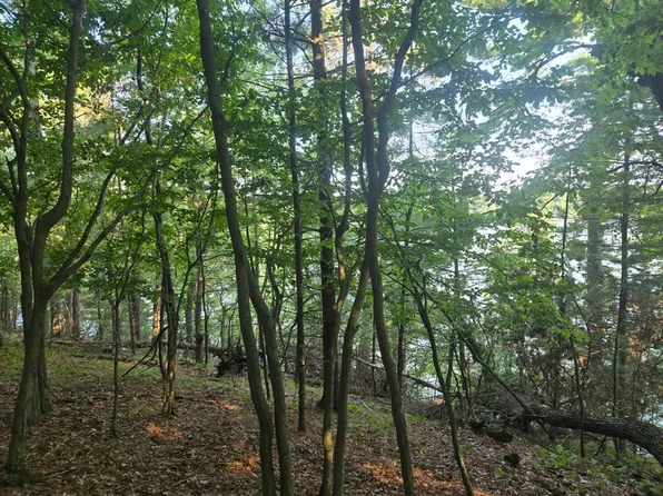Lot 2 75th Ave, Chippewa Falls, WI 54729