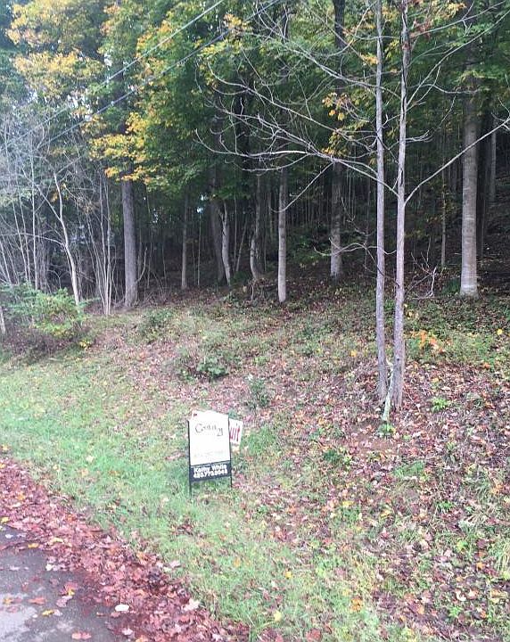 2nd image of Willmary Dr