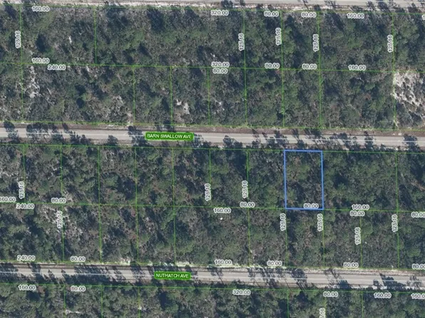 3344 Barn Swallow Ave, Lake Placid, FL 33852