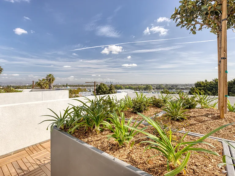 5300 Crenshaw Blvd — Photo 6