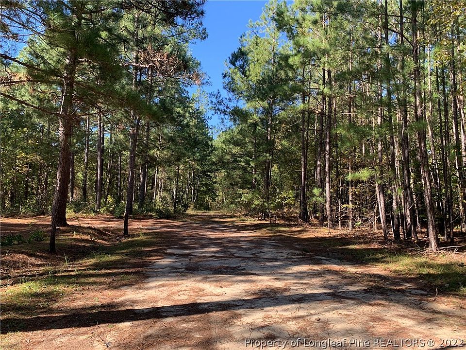 2nd image of Old Forest Rd