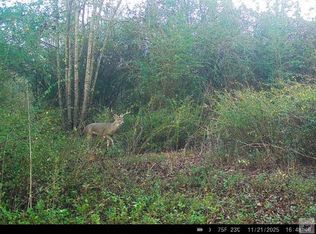 County Road 3214, Atlanta, TX 75551