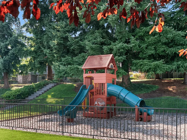 Fun Outdoor Playground