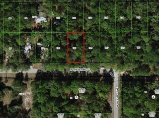 2851 W Grapevine Ct, Dunnellon, FL 34433