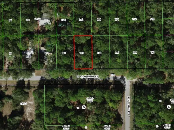 2851 W Grapevine Ct, Dunnellon, FL 34433