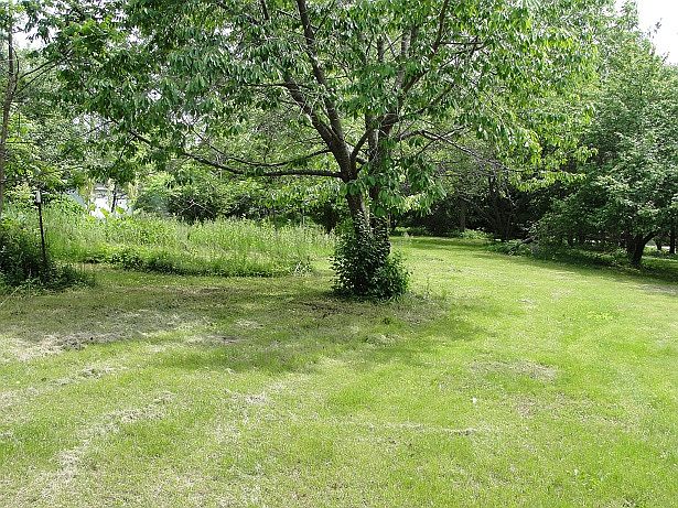 2nd image of 533 W Maple