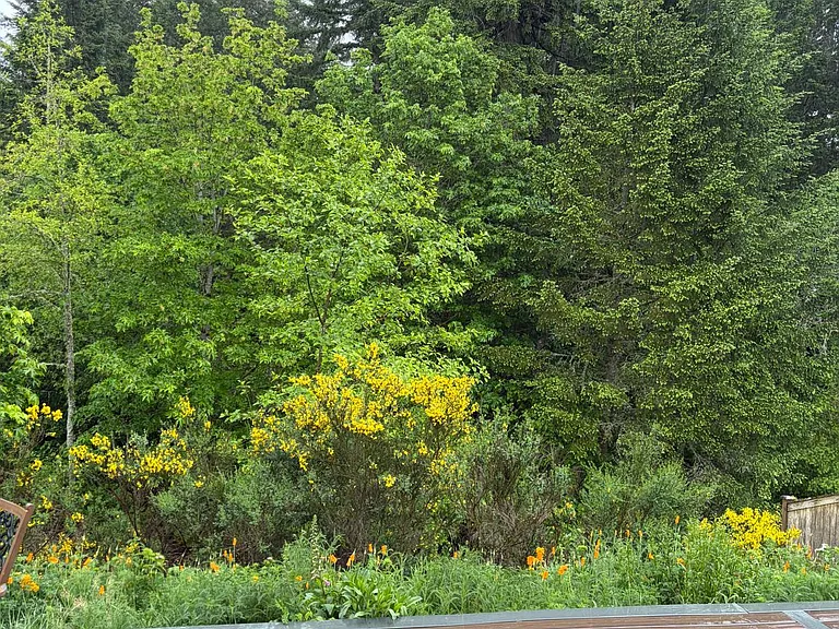 1662 Burnside Pl — Photo 13
