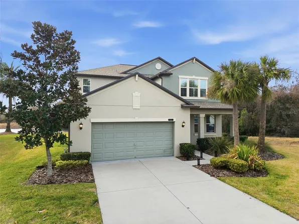 8553 Savory Walk Dr, Land O Lakes, FL 34637