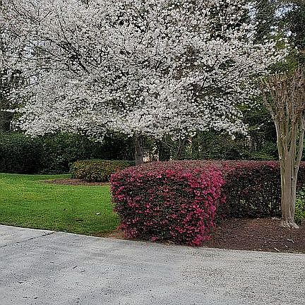 5th image of 400 Somerset Ln SE