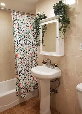 Rented by Corcoran | media 5