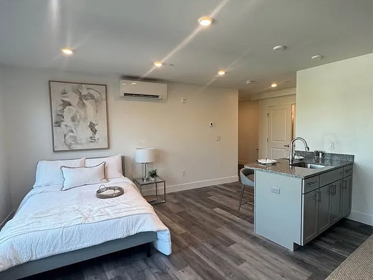 585 ESSEX STREET — Photo 57