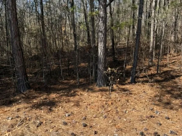 0 Vintage Rd, Lilesville, NC 28091