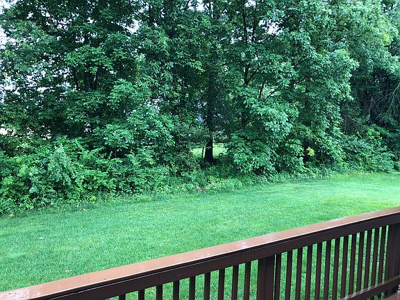 Private backyard 
