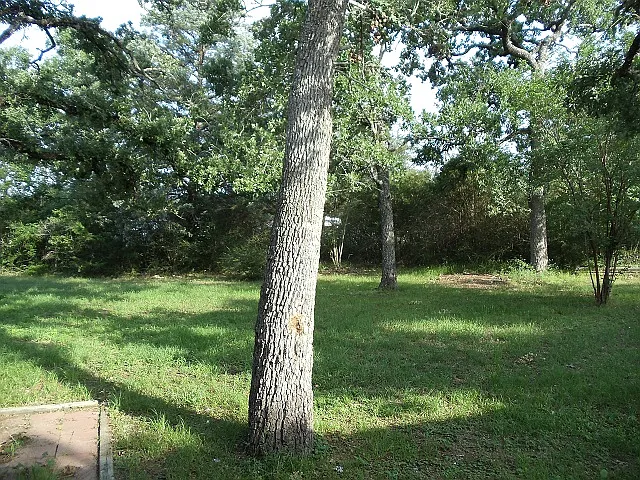 3 bed, 2132 sqft, $1,850 — Photo 2