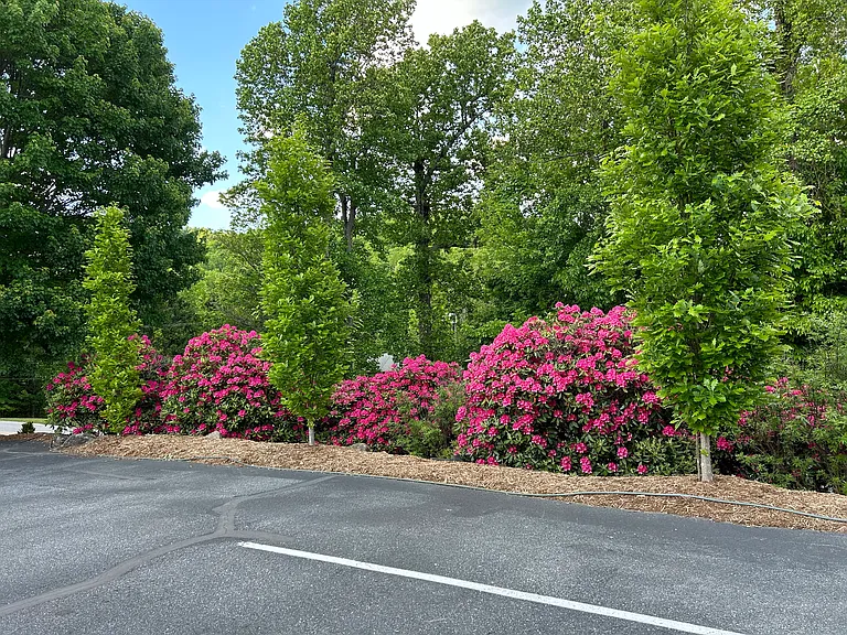 White Oak Mountain Rd — Photo 54