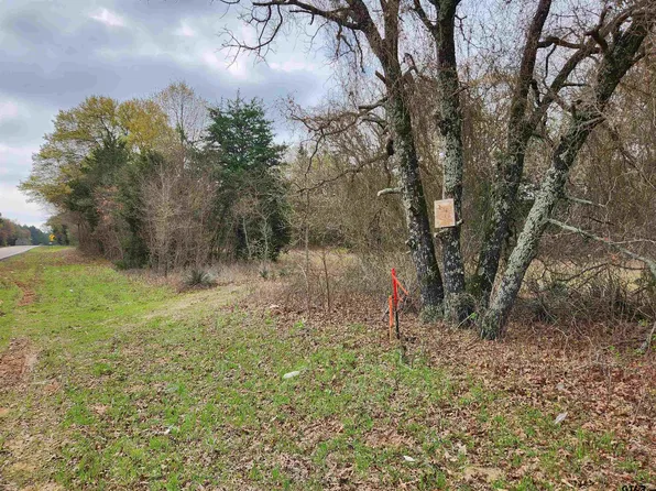 LOT 8 Fm 1253, Mineola, TX 75773