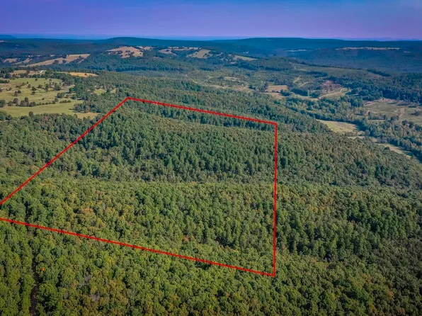 (undisclosed Address), Mountain View, AR 72560