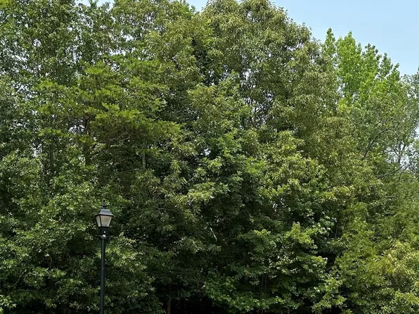 0 Shanklin Ln #26, Denver, NC 28037