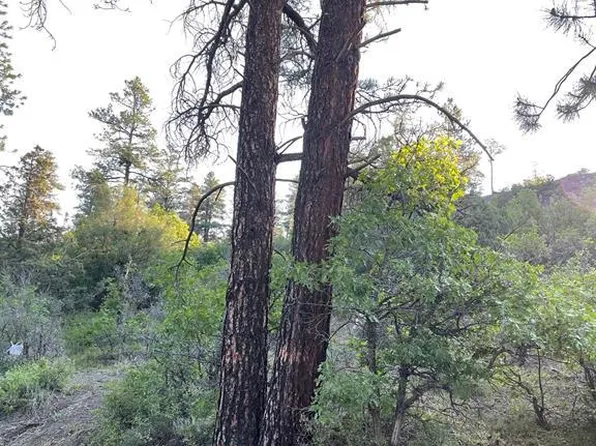 199 Gully Place, Pagosa Springs, CO 81147