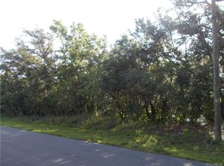 527 N Grandview Ave, Hernando, FL 34442