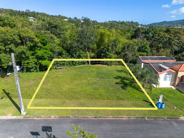 Carr 183 Bo Florida Camino De Via Lot 14, San Lorenzo, PR 00754