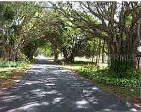 Babylon Trees abound 