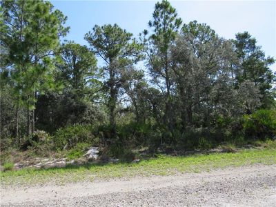 1146 Redbird St, Lake Placid, FL, 33852