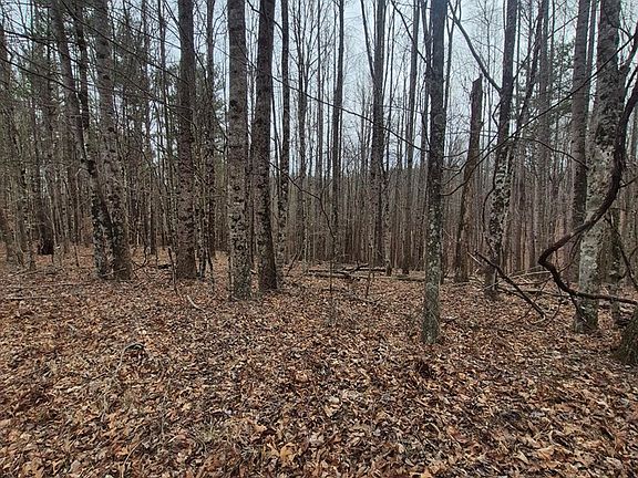 5th image of 14 Vista Ridge Dr