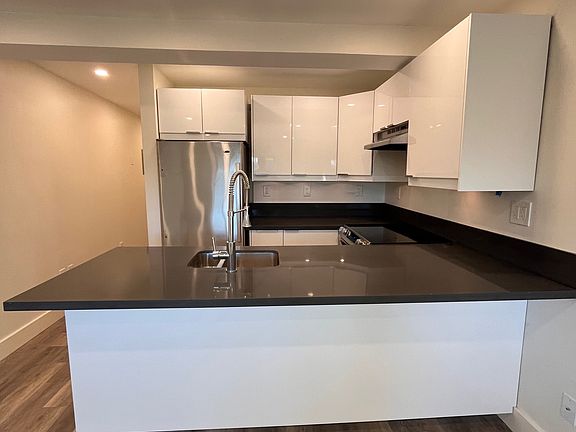 Kitchen Cabinets Fridge and Peninula 
Counter w/Sink & Overhang