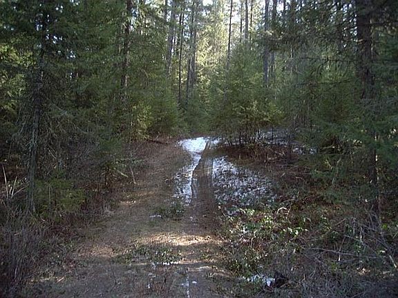 2nd image of 0 Forest Ln