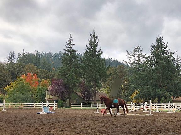 3rd image of 34817 Matthews Rd