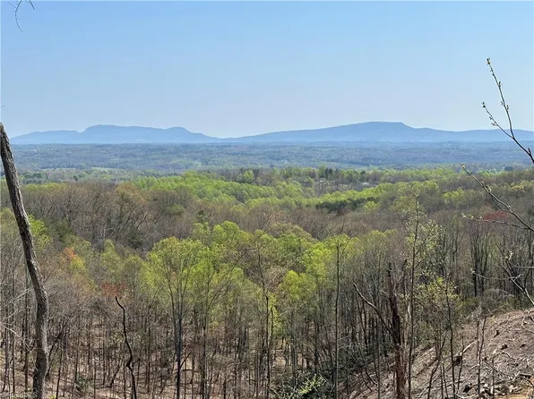 4 Howell Rd #4, Pilot Mountain, NC 27041