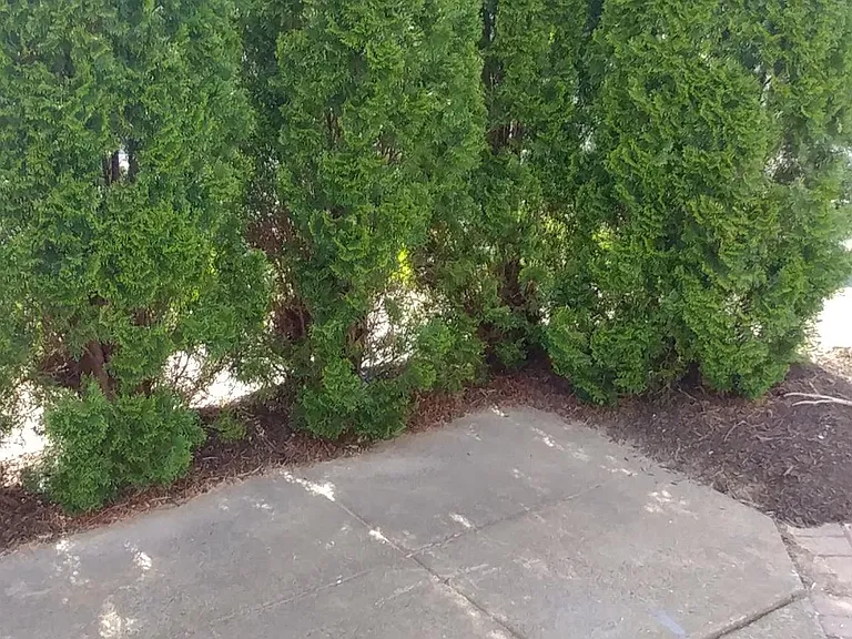 24 Banbury Ct — Photo 9