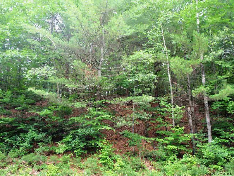 5th image of Trout Lake Road