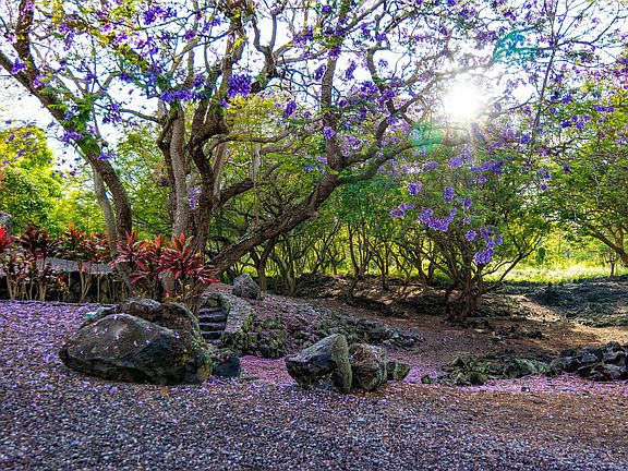 3rd image of 71-1410 Puu Kamanu Ln