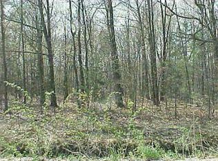 5 Cady Rd, Twin Lake, MI 49457