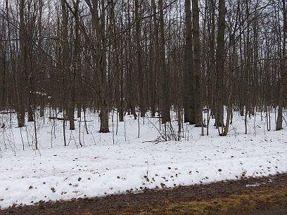 1st image of Valley Rd