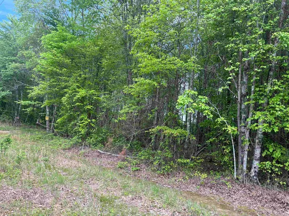 0 County Road 4, Double Springs, AL 35553