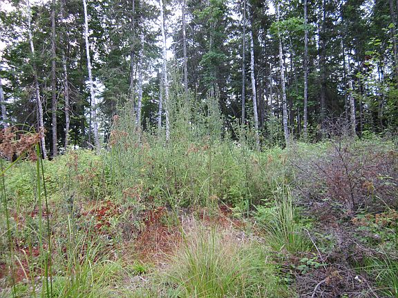 5th image of 7190 Heartwood Trail