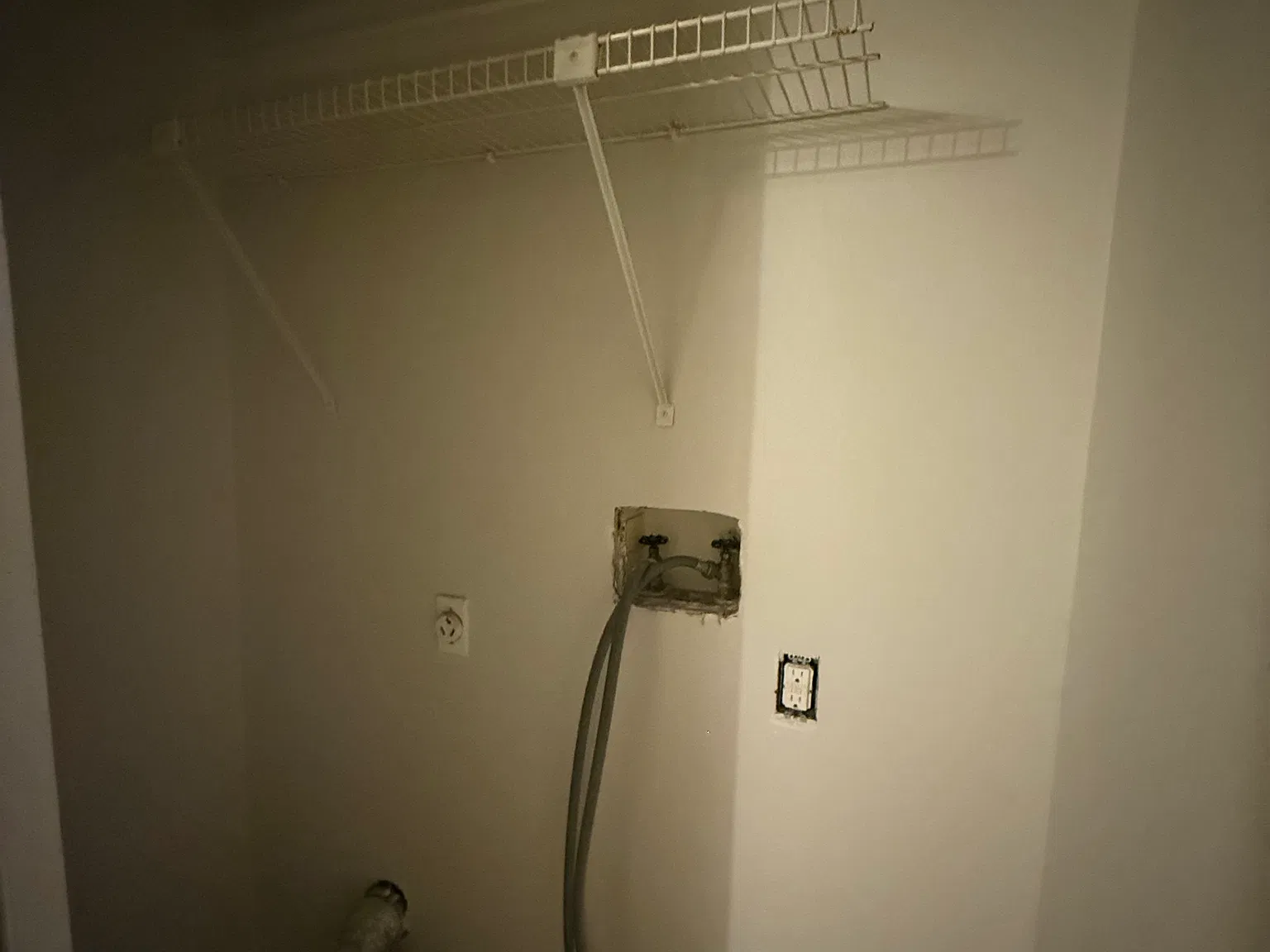 2 bed, 740 sqft, $1,300 — Photo 4