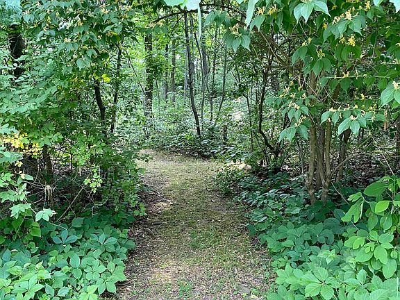5th image of LOT 13 Rocky Ln