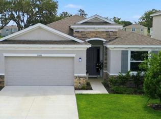11316 SPOONBILL FLOCK WAY, SAN ANTONIO, FL 33576