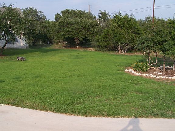 Large Front Yard