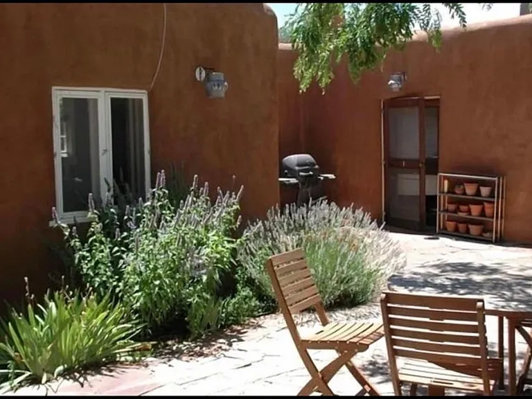 Large honey locust tree shades patio.