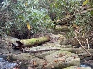 7.99 Mickey Rd, Westfield, NC 27053