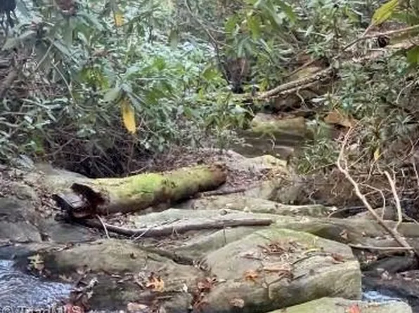 7.99 Mickey Rd, Westfield, NC 27053