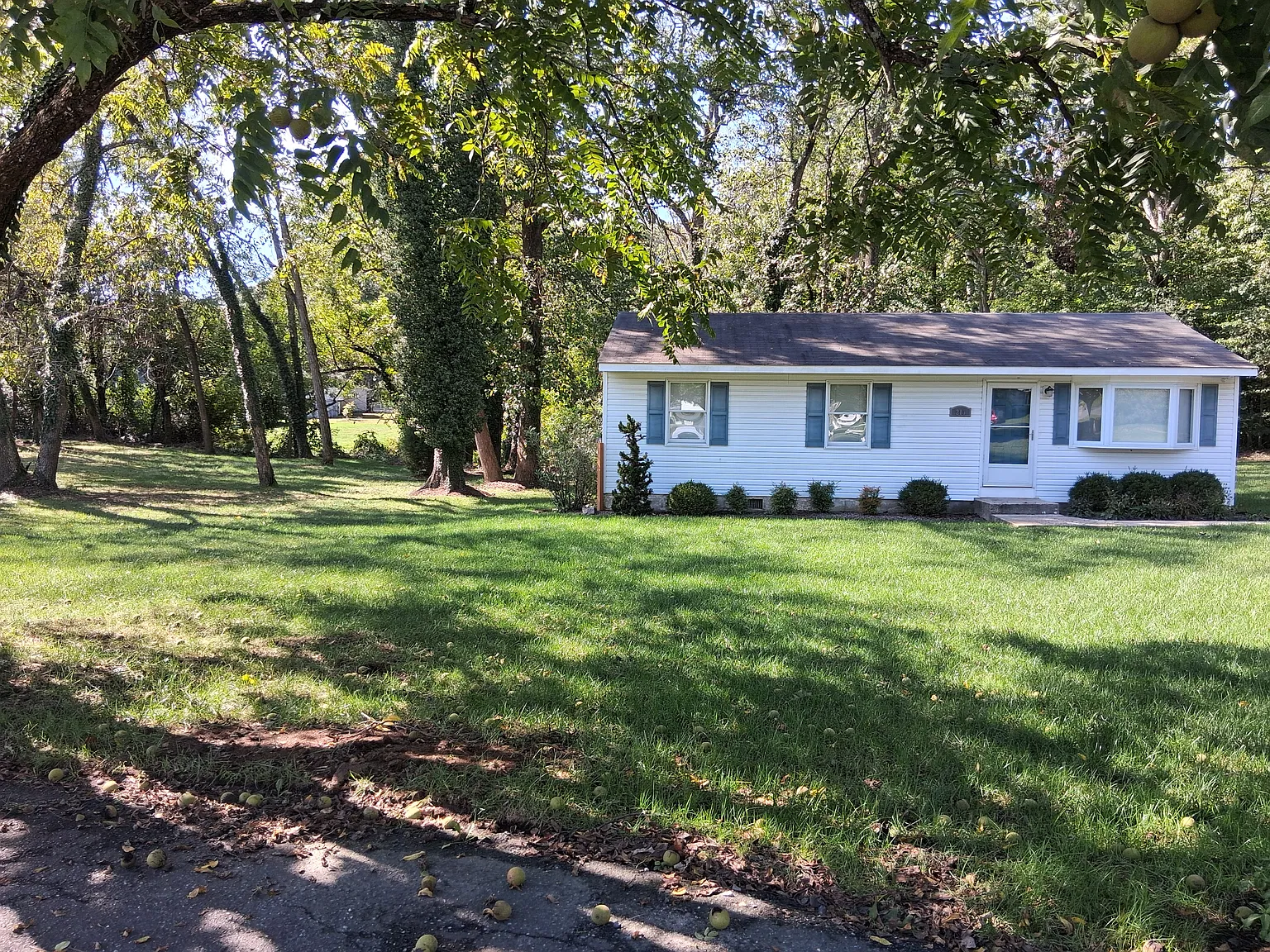 Ash Ln, Annapolis — Photo 3