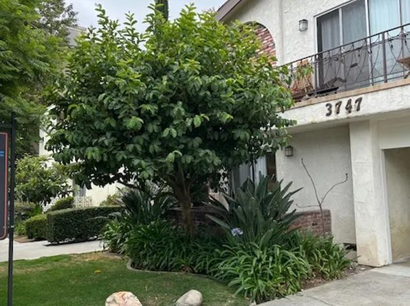 m3747, 3747 Mentone Ave #2, Los Angeles, CA 90034