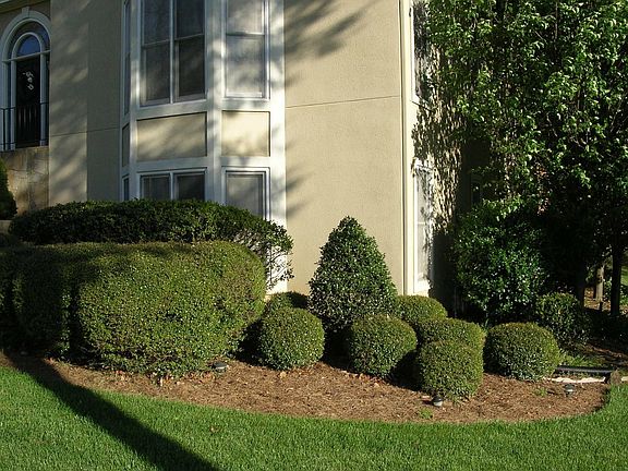 Professional Landscaping